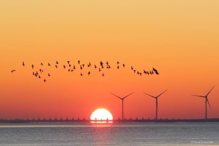 Heerenkeet 4 Pers Appartement Aan De Oosterschelde Kerkwerve 외부 사진